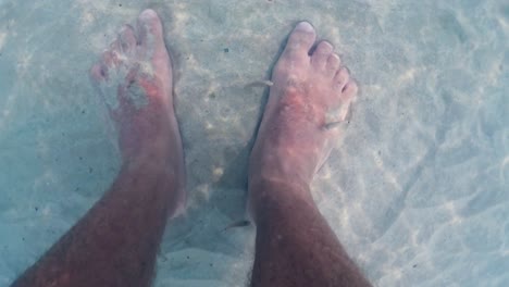 unusual slow motion underwater footage of tiny fish eating human legs and feet skin in clear sea water