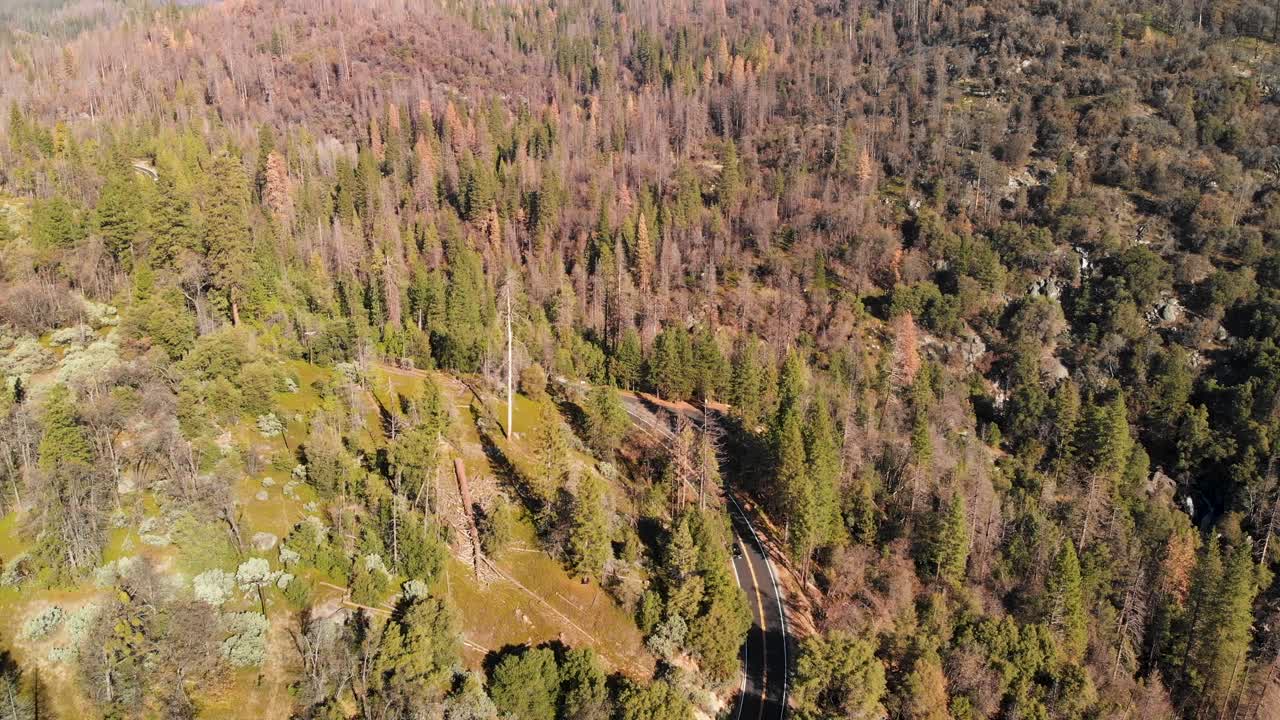 hermosa toma aérea de 4k de una carretera que serpentea a través de un bosque y montañas de california