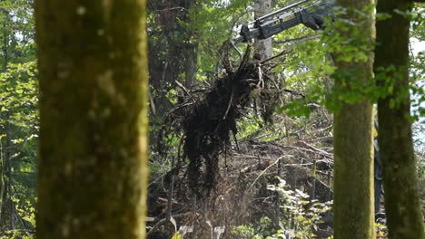 concepto de deforestación, gran máquina de limpieza del paisaje forestal