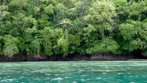 La-Costa-De-Una-Impresionante-Isla-Tropical-Paradisíaca-Con-Aguas-Turquesas-Del-Océano-Y-Un-Denso-Bosque-Tropical-Y-árboles-En-La-Remota-Bougainville,-Papúa-Nueva-Guinea