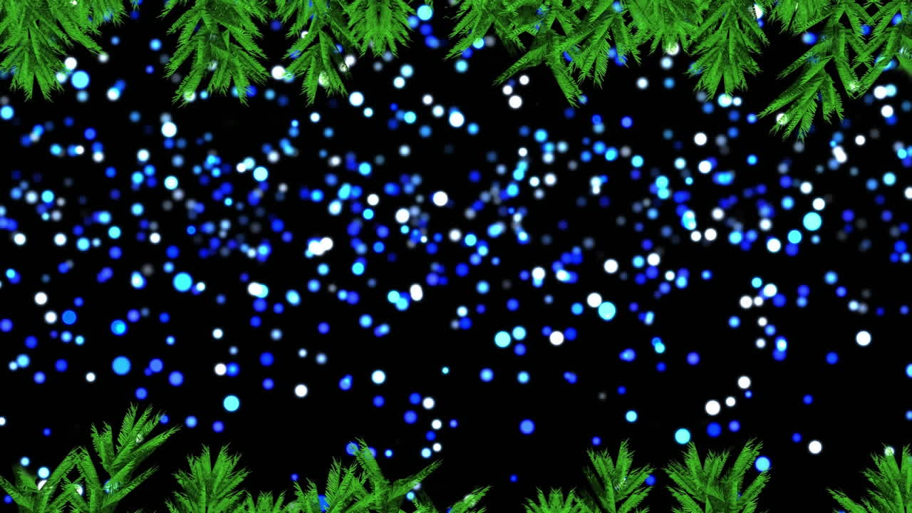 검은색 배경에 빛나는 반점과 소나무 가지의 애니메이션