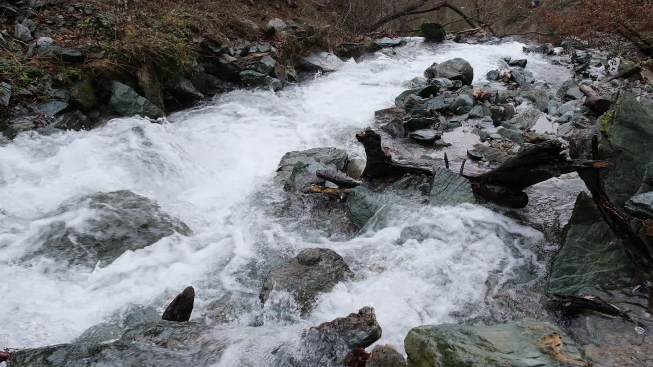 A fast flowing stream rushes over rocks in slow motion creating white water Vegetation and tree branches line the banks The water flows quickly forming a cascade