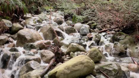 deep cove hiking trail water stream, vancouver canada