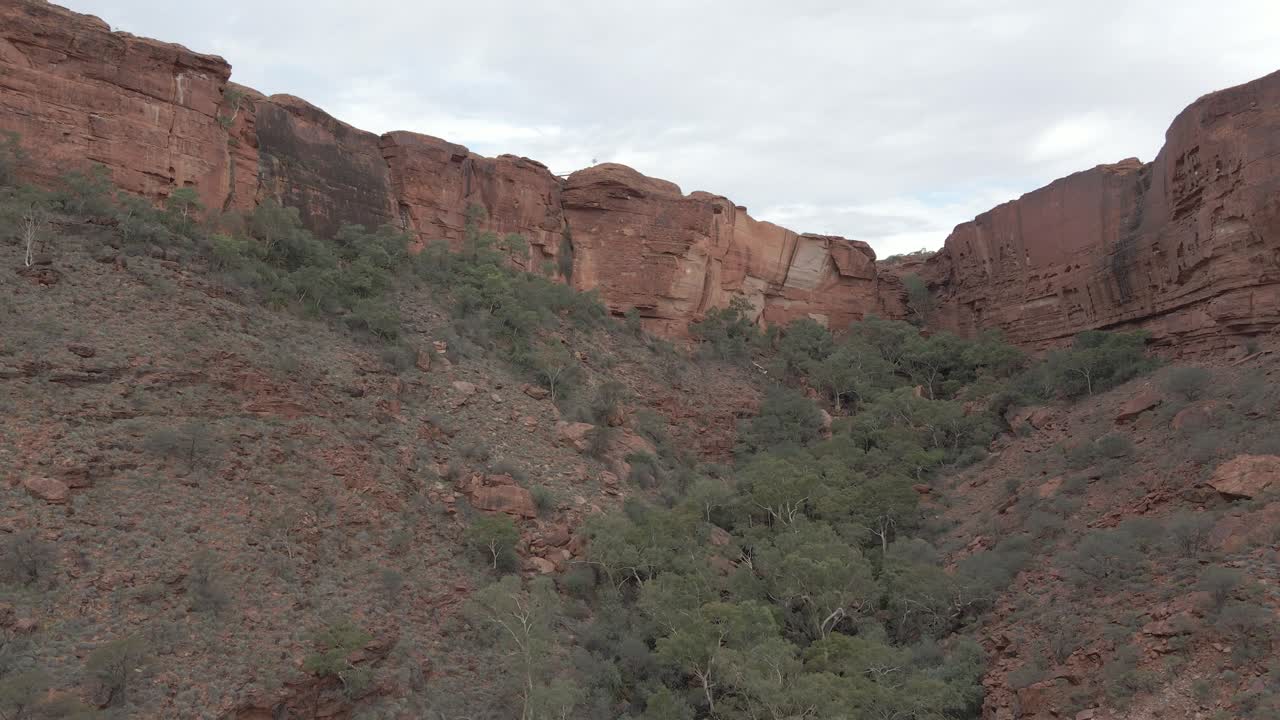 Densely Green Woods At Scenic Walls Of Kings Canyon At Watarrka National Park In Northern Territory, Australia. - Aerial Tilt-Up Shot