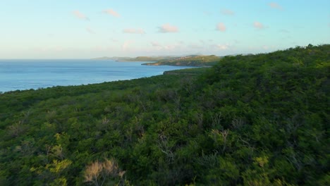 La-Luz-Dorada-Brilla-En-Los-Bordes-De-Los-árboles-En-Los-Matorrales-A-Lo-Largo-De-La-Costa-De-Curazao-Westpunt