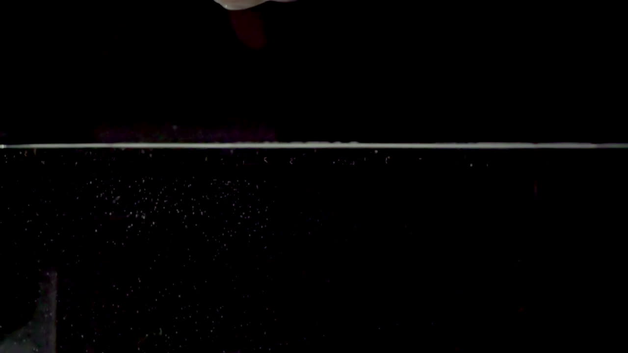 슬로우 모션 핸드 00