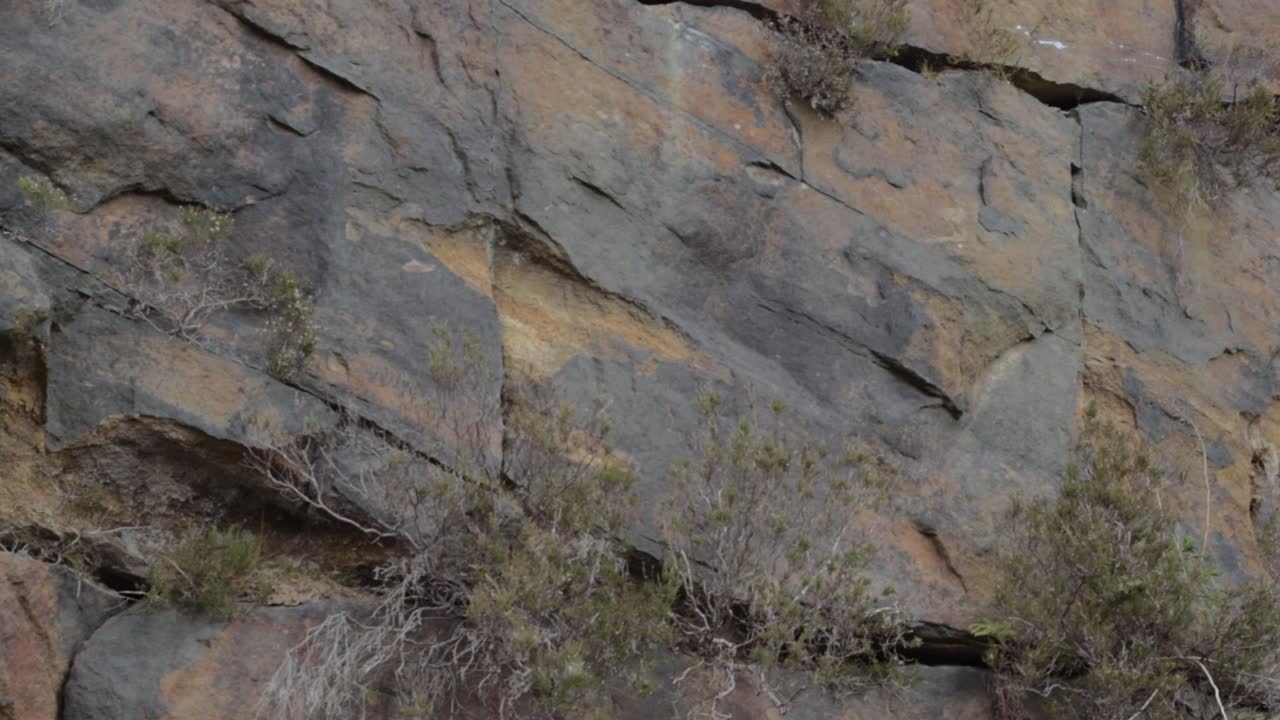 Rocky terrain close up panning shot