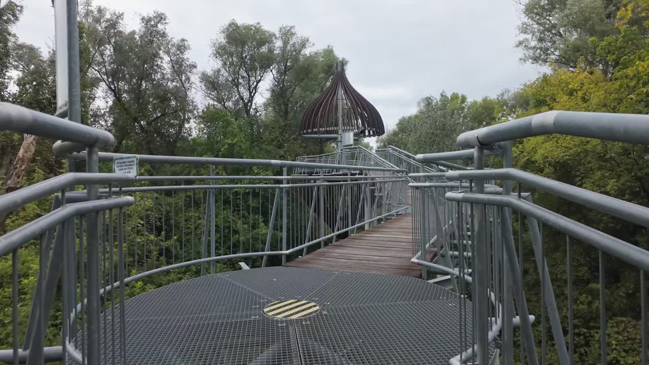 Passerella tra le cime degli alberi nella foresta