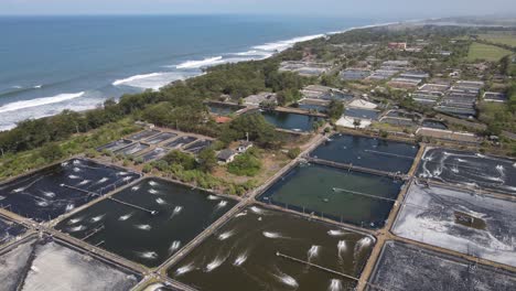 aerial view, captivity or shrimp pond in southern yogyakarta on the coast of samas