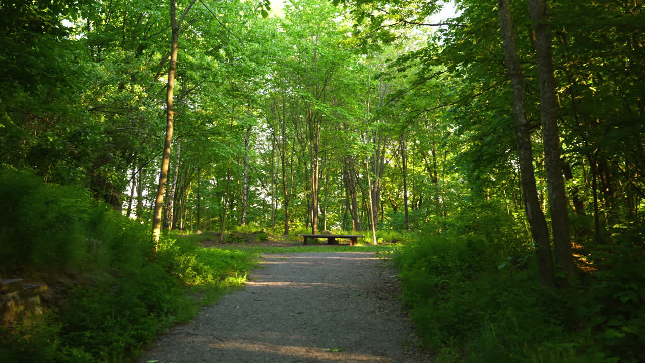 Gimbal shot of an entrance to a park in Oslo, Norway in the summer and sun is bright