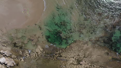 Rising-vertical-aerial-of-snorkeling-tourists-at-rocky-limestone-beach