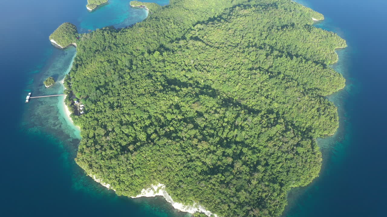 Is it a shell? A hand? No, it's Raja Ampat