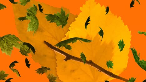 Animation-of-multiple-autumn-leaves-falling-on-orange-background