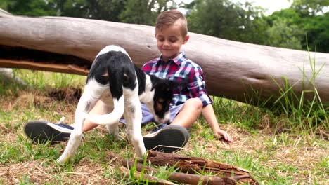 adventurous boy playing with stick and his puppy dog