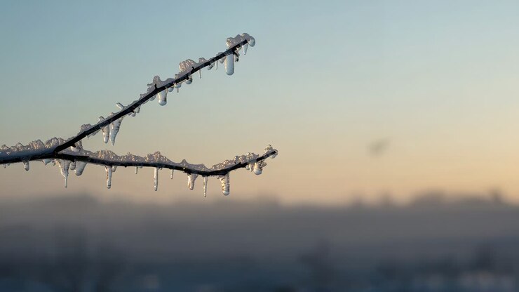 Sunlight warming branch with icicles, causing droplets forming and sliding at sunrise, copy space