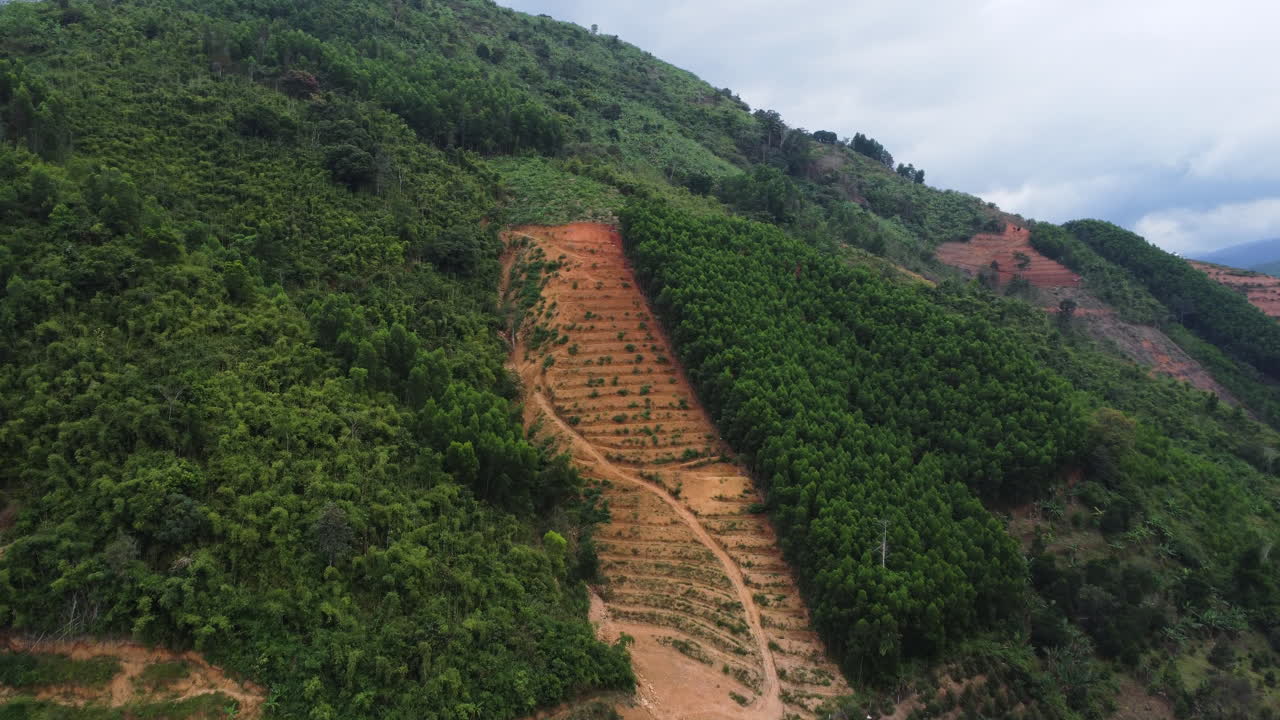 deforestación cortada en la ladera de una montaña para la agricultura