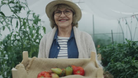 portrait of senior woman with harvest in greenhouse