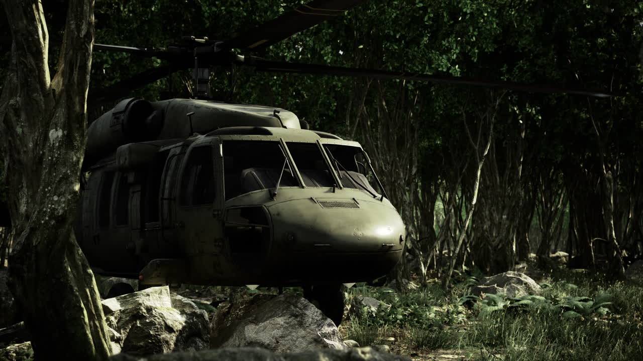 Military helicopter parked near dense forest during overcast day