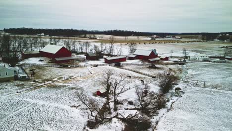 las imágenes aéreas de drones revelan graneros rodeados por un vasto paisaje agrícola cubierto de nieve, la prístina manta blanca de nieve se extiende sin fin, en contraste con los graneros rústicos en canadá.