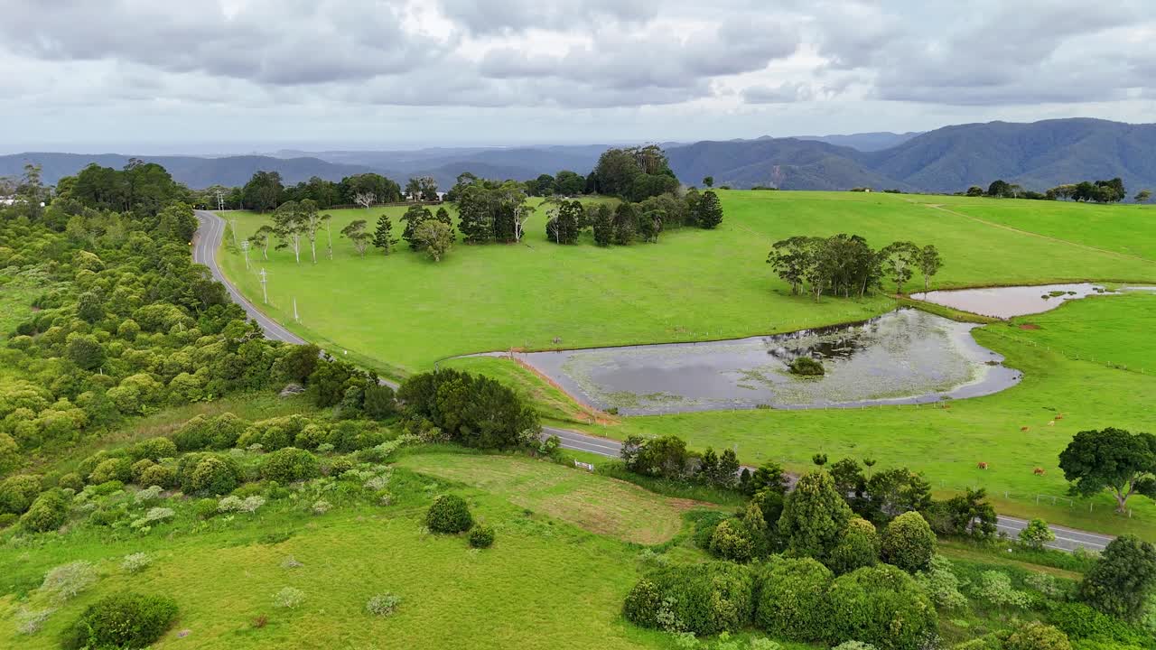 울창 한  과 물 을 공중 에서 볼 수 있다