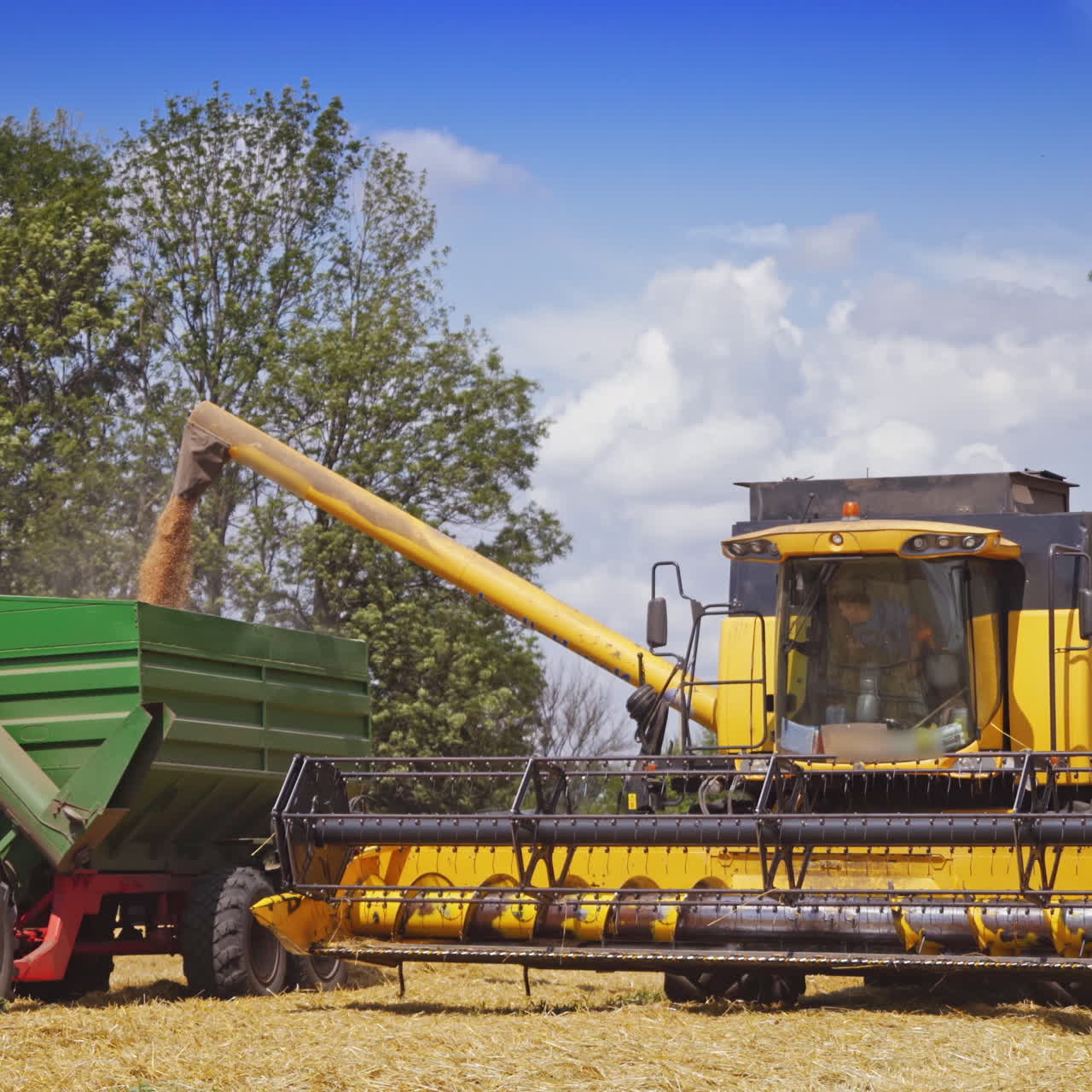 Industrial equipment at harvesting in the field. Huge yellow combine machine pouring out ripe grains into the tractor in the countryside in summer.