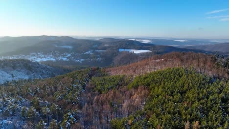 aerial-view-over-the-forest-in-wintertime,-beautiful-clear-blue-skies-and-sunny
