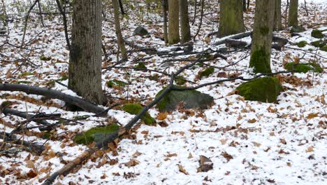 During-the-seasonal-equinox-changes-this-bird-thrives-anyway-in-the-nature