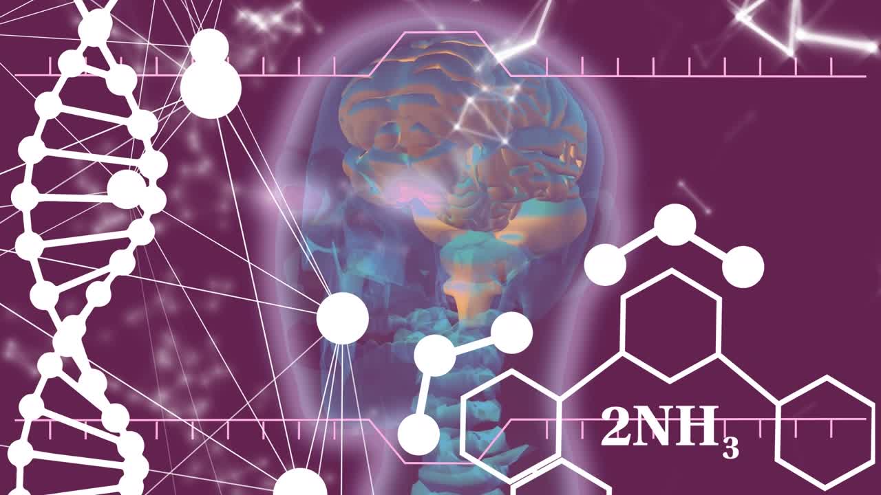 Animazione di DNA, connessioni e modello di testa umana su sfondo viola