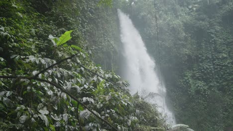 beautiful waterfall in a lush rainforest