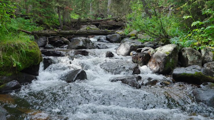 Forest waterfall landscape with cascading water and rich green surroundings