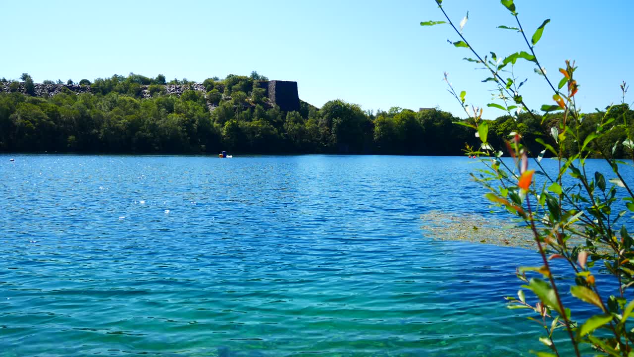 pintoresco lago azul ondulado rodeado de exuberantes bosques verdes con follaje que sopla en primer plano
