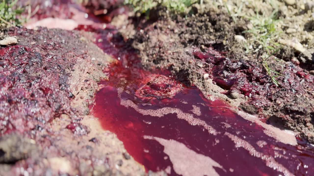 sangre agua roja se mezcla con burbujas que fluyen rápidamente entre el barro y los trozos de hierba