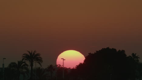 sunset behind palm trees