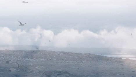 animación de nubes con pájaros volando sobre el sitio de eliminación de residuos