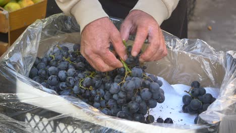 fresh grapes at a farmers market