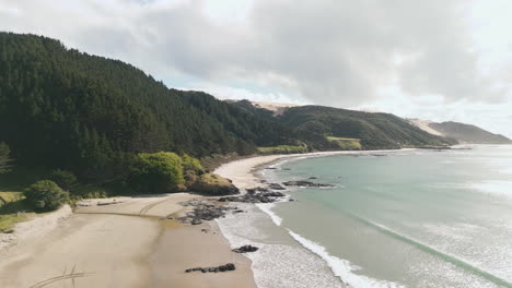 coastal view of a new zealand beach with lush forest