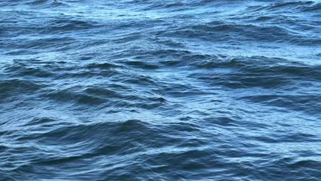 close-up of deep blue ocean waves under natural light, gentle movements and ripples