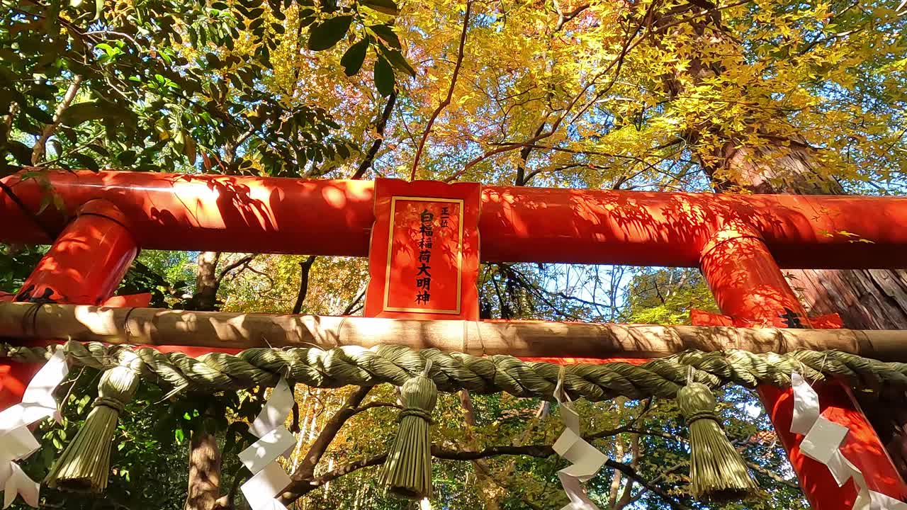 otoño dorado en japón, hermosa puerta roja de torii de shinto en un bosque tranquilo en otoño