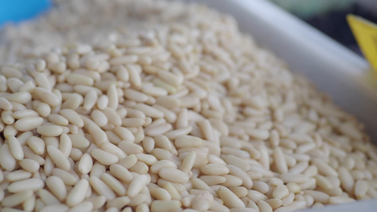 소나무 견과류 어리