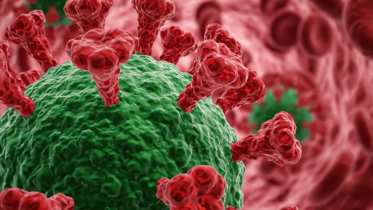 Visualización microscópica de células virales en el torrente sanguíneo, representando agentes infecciosos con glóbulos rojos bajo gran aumento.