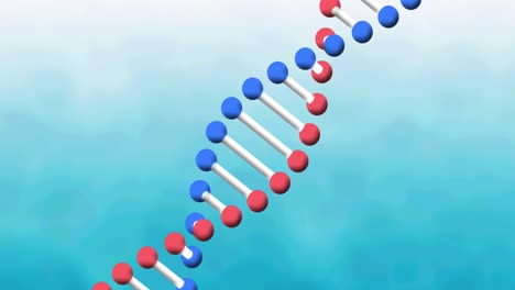 Animation-of-dna-strand-spinning-over-blue-background