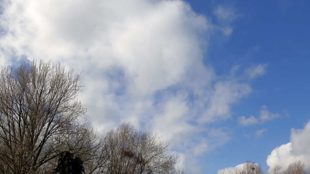 영국의 하늘을 가로지르는 겨울 햇살 속 구름의 시간 경과