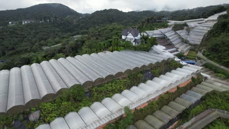 general landscape view of the brinchang district within the cameron highlands area of malaysia