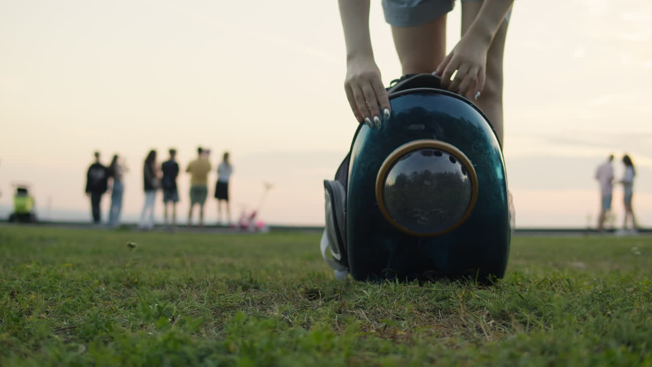 Woman owner with her cat in the animal carrier walking in the park close-up. Kitten in pet carrier