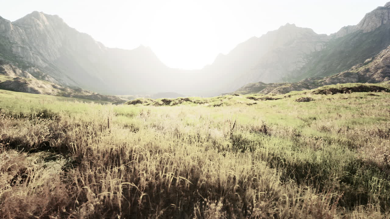 조용한 산 계곡