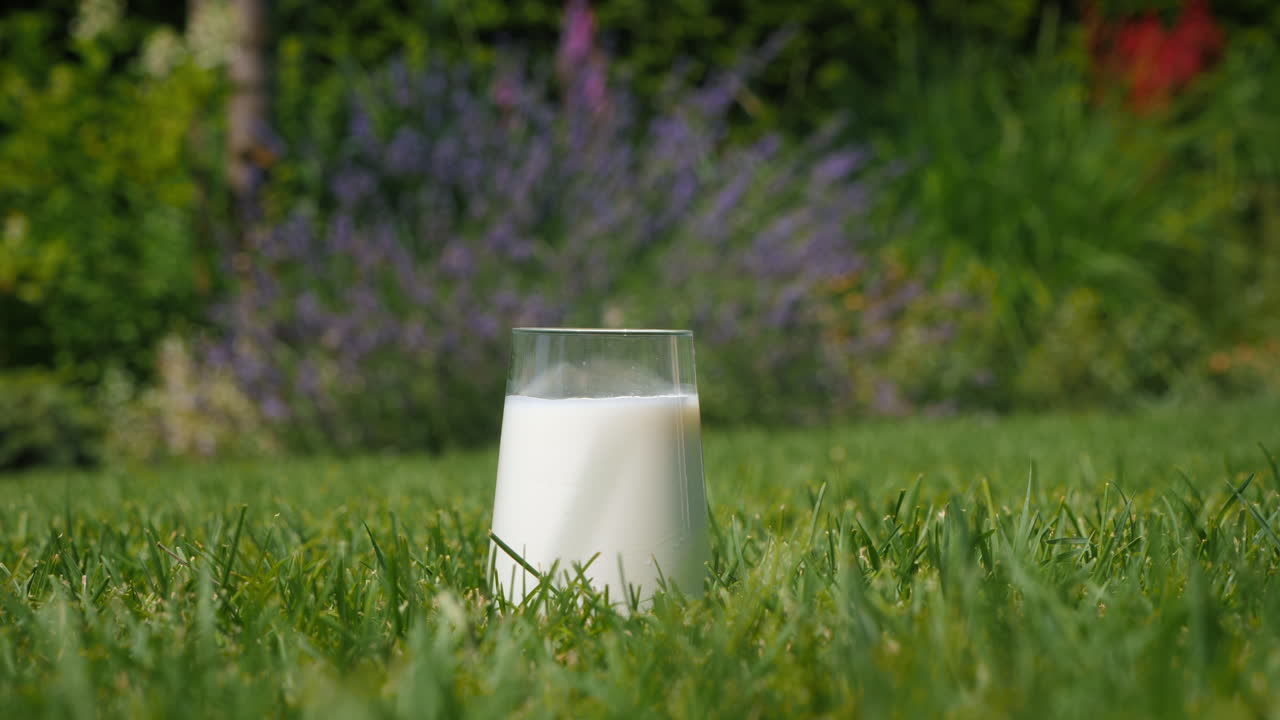 un vaso de leche en un jardín