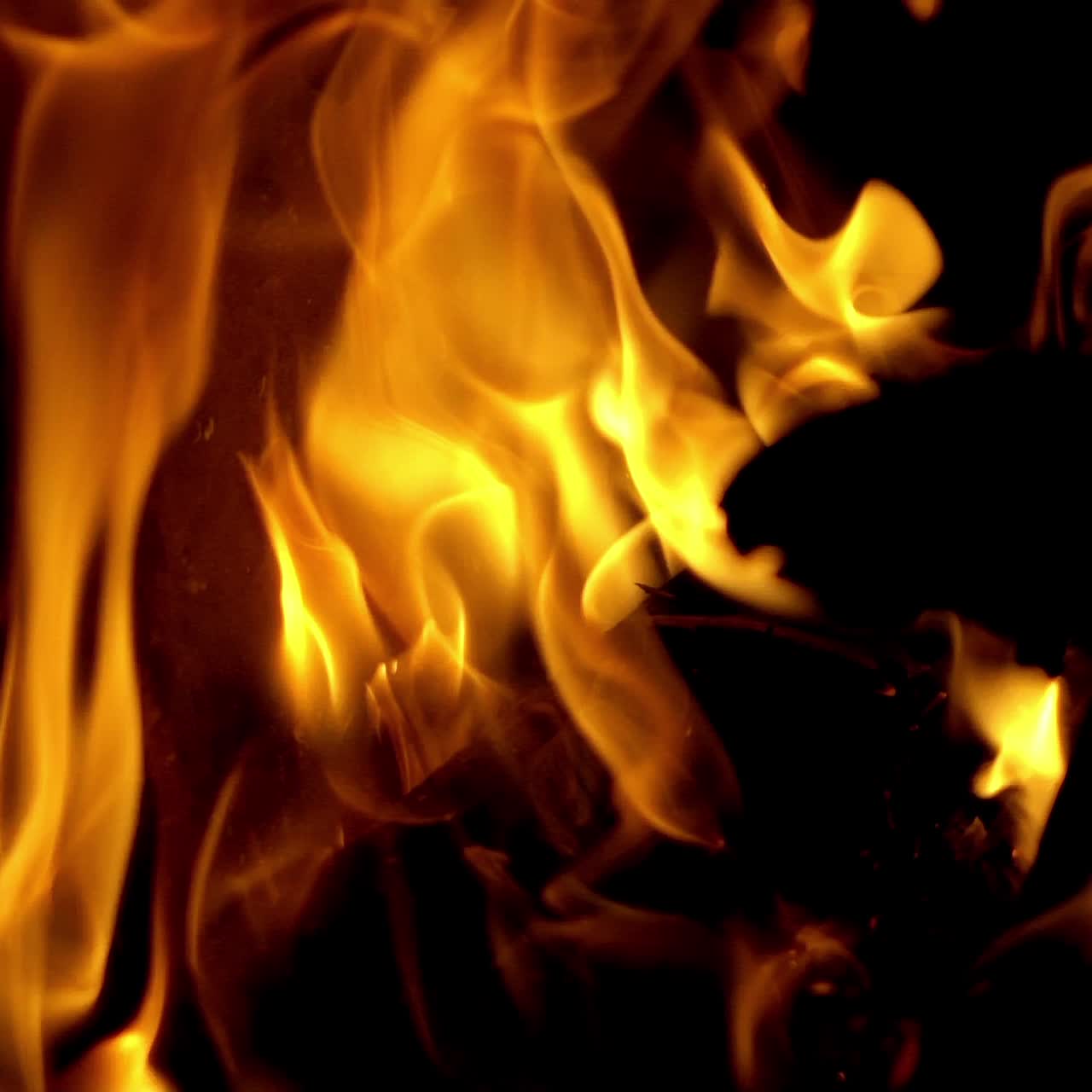 Fuoco che brucia. Fiamme di fuoco su sfondo nero. Movimento rallentato.