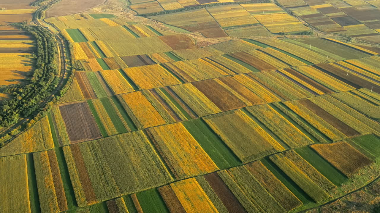 Aerial drone view of nature in Moldova at sunset. Wide fields, road with trees