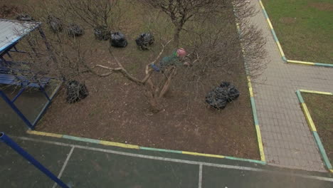 Toma-Aérea-De-Un-Niño-Trepando-A-Un-árbol-En-El-Patio