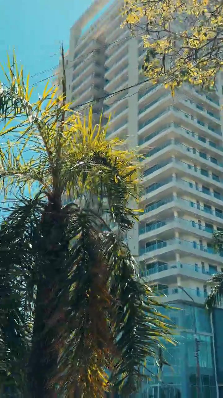 Arranha-céu Moderno e Rua Urbana com Palmeiras em um Dia Ensolarado